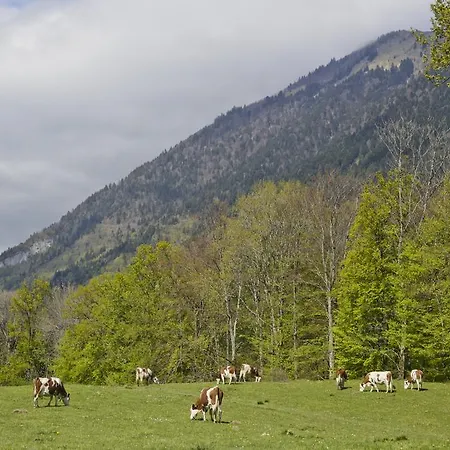 Farma Maison Glaces & Cows